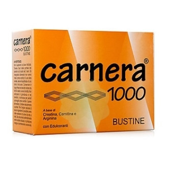 CARNERA 1000 18 BUSTINE
